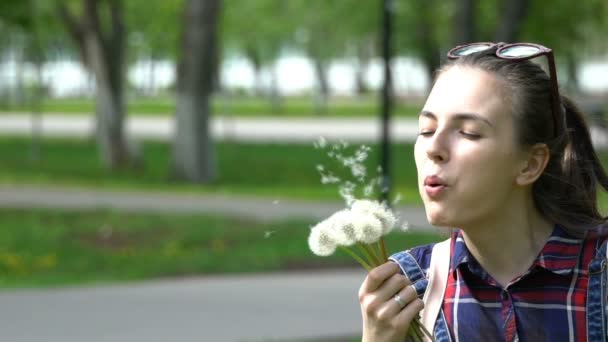 Mujer soplando un ramo de dientes de león en el parque . — Vídeo de stock