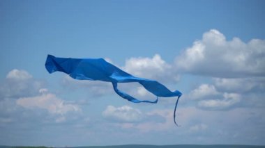 Bir uçurtma gökyüzünde uçar yakın.