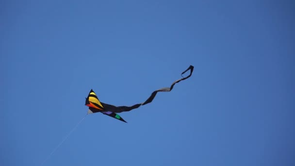 En kite flyger i himlen närbild. — Stockvideo