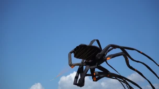 A kite flies in the sky close up. — Stock Video