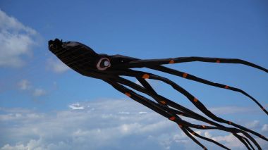 Bir uçurtma gökyüzünde uçar yakın.