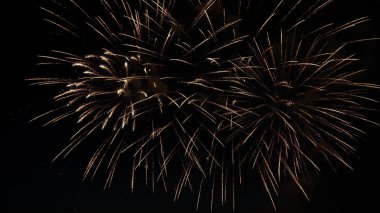 tatil onuruna gece gökyüzünde havai fişek.