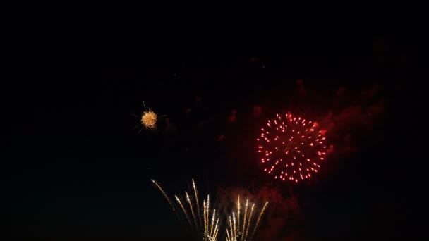 Feuerwerk am Nachthimmel zu Ehren des Feiertags. — Stockvideo