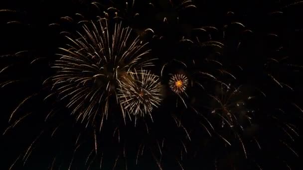 Fuegos artificiales en el cielo nocturno en honor a la fiesta . — Vídeos de Stock