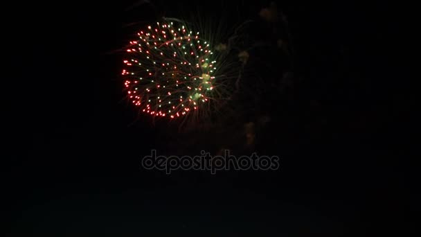 Feuerwerk am Nachthimmel zu Ehren des Feiertags. — Stockvideo