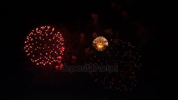 Vuurwerk in de nachtelijke hemel ter ere van de vakantie. — Stockvideo