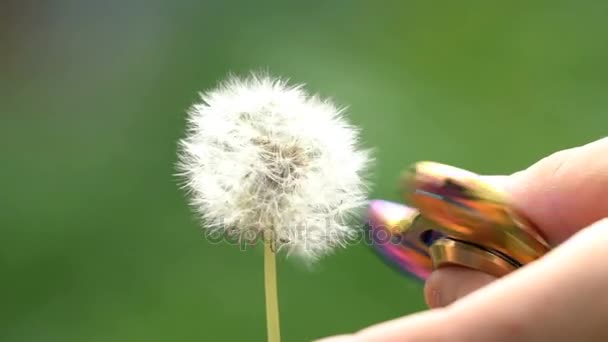 Garçon jouer avec spinner et pissenlit . — Video