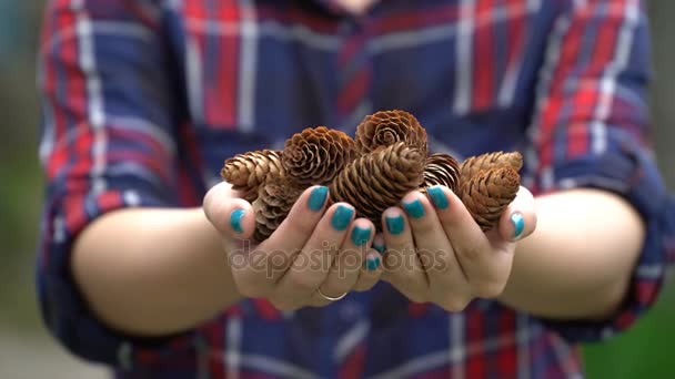 Chica sosteniendo conos de abeto en las manos . — Vídeos de Stock
