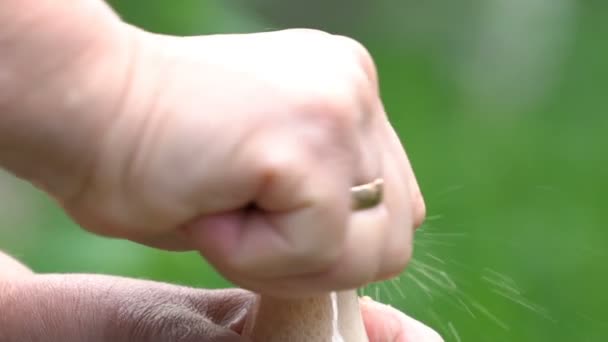 Une femme ouvre une bouteille de limonade et éclabousse d'une bouteille . — Video