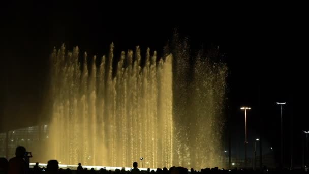 Mensen bewonderen de zingende fontein in Sotsji. — Stockvideo