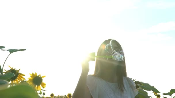 Mooi jong meisje loopt in het gele veld met zonnebloemen en blaast zeepbellen. — Stockvideo