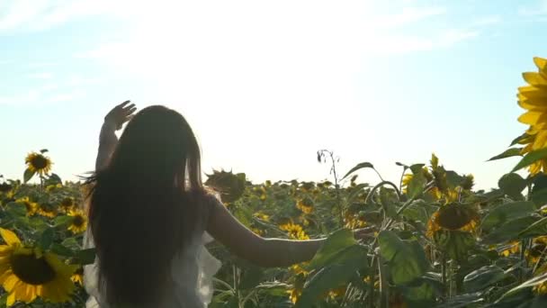 노란 해바라기 밭에서 실행 하는 예쁜 여자 — 비디오