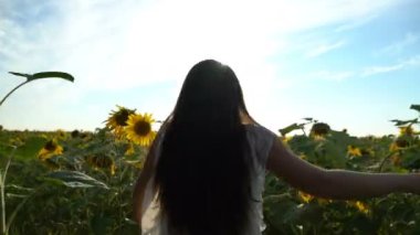 güzel kız sarı ayçiçeği sahada çalışan