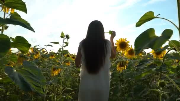 아름 다운 어린 소녀 해바라기의 노란 분야에 걸어와 비누 거품 불면. — 비디오