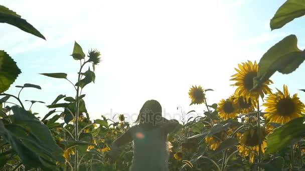 Красива дівчина працює на жовтому соняшниковому полі — стокове відео