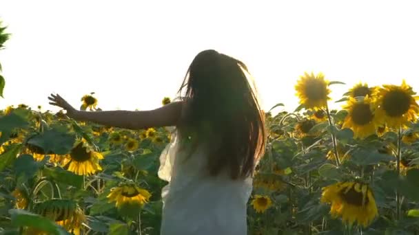 Csinos lány fut a sárga napraforgó mező — Stock videók