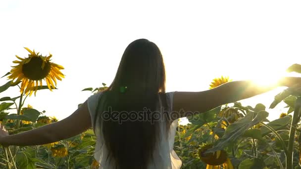 Chica bonita corriendo en campo de girasol amarillo — Vídeo de stock