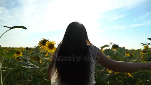 Pretty girl running on yellow sunflower field — Stock Video