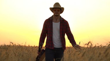 genç adam güneşin ışınları altın buğday alanına yürüyor ve gitar çalıyor.
