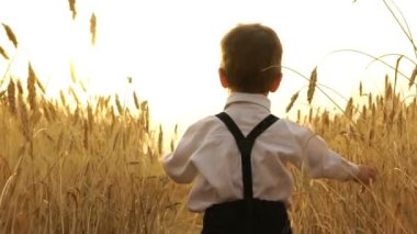 Küçük çocuk günbatımında alanına yürüyor