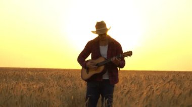 genç adam güneşin ışınları altın buğday alanına yürüyor ve gitar çalıyor
