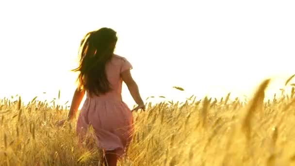 Hezká dívka v šatech běží přes pole. — Stock video