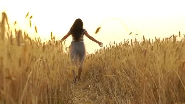 Pretty girl in the dress is running across the field. — Stock Video