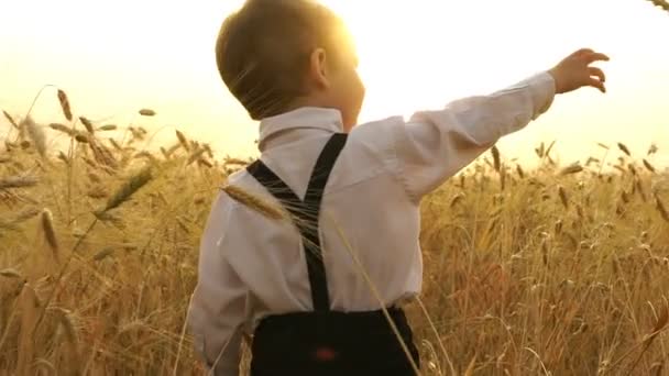 Kleiner Junge läuft bei Sonnenuntergang auf dem Feld — Stockvideo