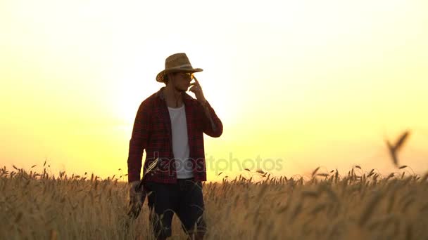 Joven camina por el campo de trigo dorado en los rayos del atardecer y toca la guitarra — Vídeos de Stock