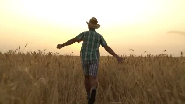 这件衬衫的家伙奔跑着穿过田地. — 图库视频影像
