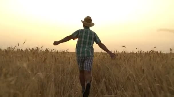 Man in het shirt is die dwars over het veld. — Stockvideo