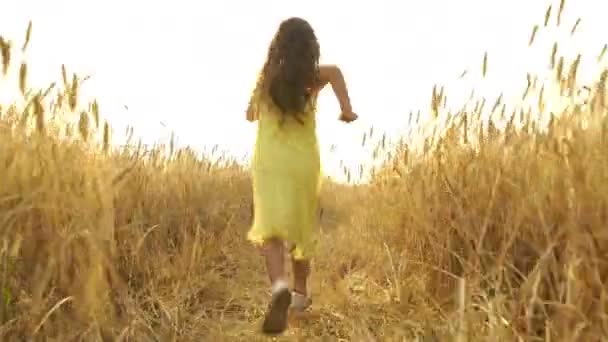 Chica joven en el vestido está corriendo a través del campo . — Vídeos de Stock