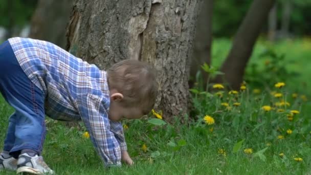 Petit garçon courant sur l'herbe dans le parc .