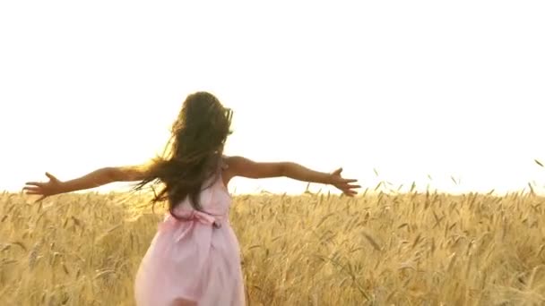 Hübsches Mädchen im Kleid rennt über das Feld. — Stockvideo