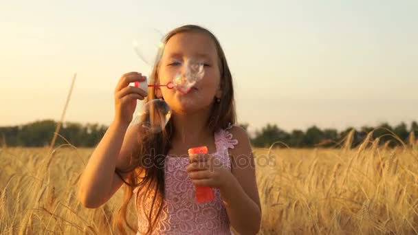 Girl walks in the field and blows bubbles. — Stock Video