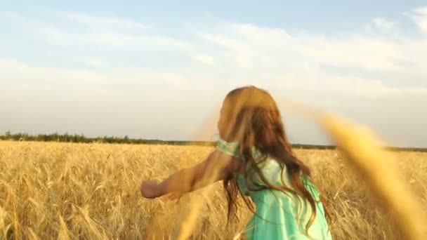 Сестра и брат гуляют по пшеничному полю — стоковое видео