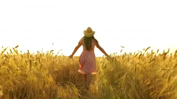 Hezká dívka v šatech běží přes pole. — Stock video