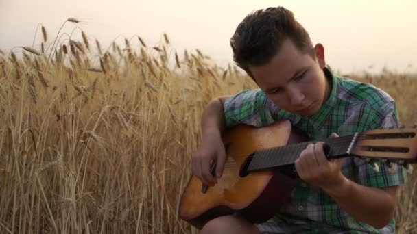 Jovem caminha no campo de trigo dourado nos raios do pôr do sol e toca guitarra . — Vídeo de Stock