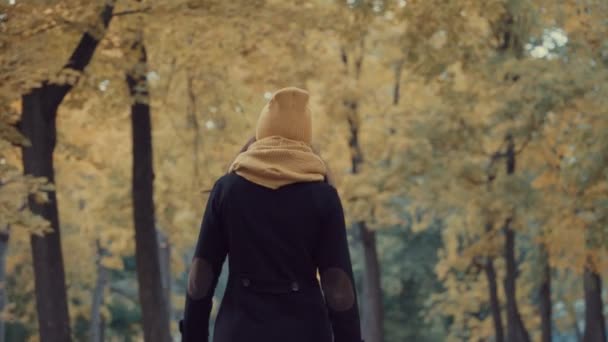 Jeune fille marche dans le parc en automne . — Video