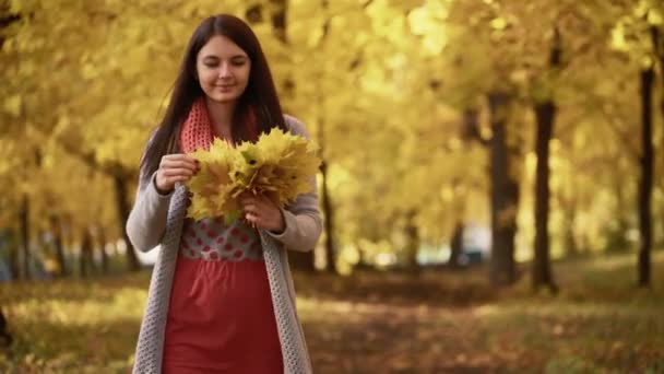 Fiatal lány sétál a parkban, őszi. — Stock videók