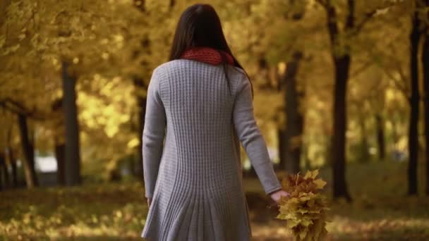 Young girl walks in the park in autumn. — Stock Video