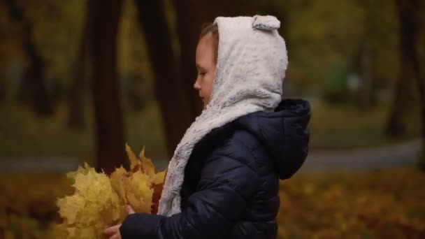 Menina de sete anos caminha em um parque no outono e segura as folhas em suas mãos — Vídeo de Stock