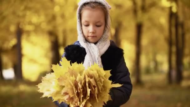 Fille de sept ans marche dans un parc à l'automne et tient les feuilles dans ses mains — Video