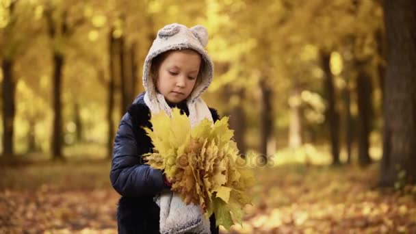 Niña de siete años camina en un parque en el otoño y sostiene las hojas en sus manos — Vídeos de Stock