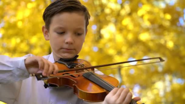 Jovem tocando violino no parque de outono — Vídeo de Stock