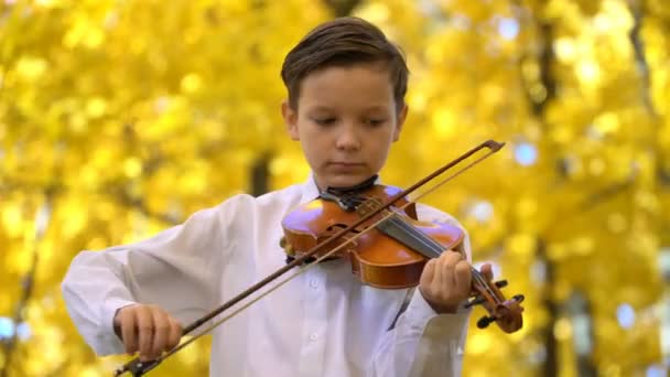 Young guy playing the violin in the autumn park — Stock Video