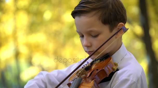 Young guy playing the violin in the autumn park — Stock Video