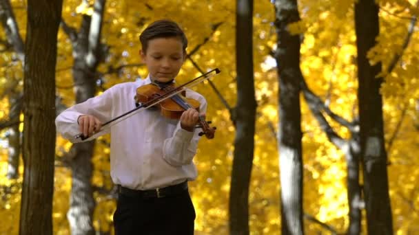 Молодой парень, играющий на скрипке в осеннем парке — стоковое видео