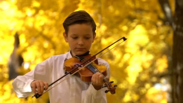 Junger Mann spielt Geige im Herbstpark — Stockvideo