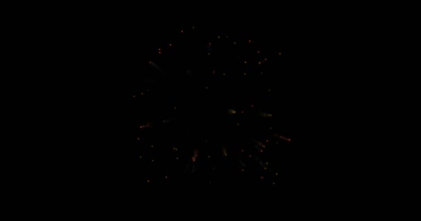 Moderní aplikace fireworks pozadí animace — Stock video